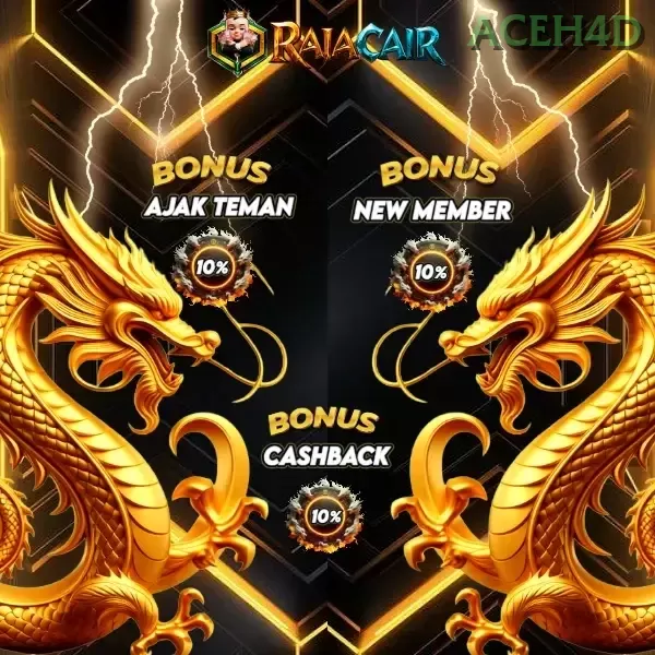 aceh4d - 6